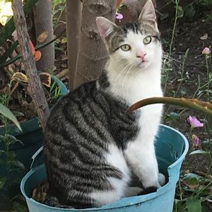 Meet your Posher, Giselle